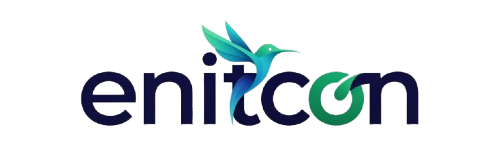 Enterprise IT Consulting